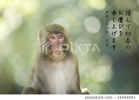 New year's card 18484091