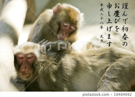 New year's card 18484092