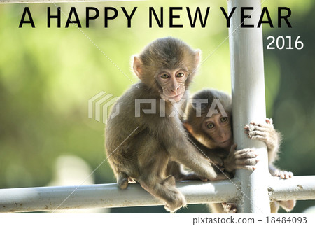 New year's card New year's card 18484093