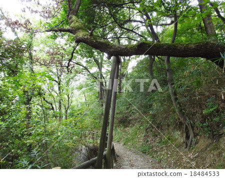 Higashi Osaka - Ikoma Mountain Hiking Course 18484533