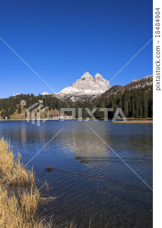 Lyca黃色大麵包美麗的Dolomiti地區 Lyca黃色大麵包美麗的Dolomiti地區 18484984