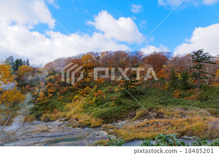 Terewada Hachimantai國家公園秋葉 Terewada Hachimantai國家公園秋葉 18485201