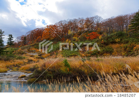 Autumn leaves of Terewada Hachimantai National Park Autumn leaves of Terewada Hachimantai National Park 18485207