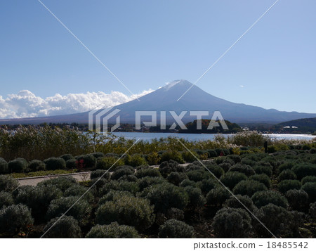 草藥和湖泊以及富士山 草藥和湖泊以及富士山 18485542