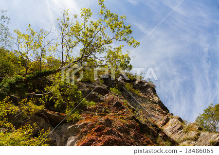 Landscape of Nakatsu Valley, Nitodogawa Town, Kochi Prefecture 18486065