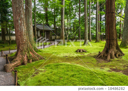 京都三善院 18486282