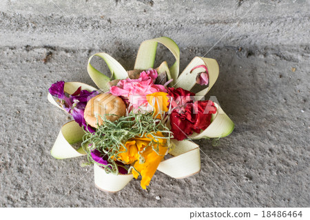 Canan of Bali 18486464