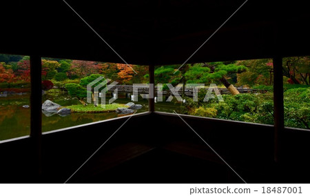 Autumn leaves in the Japanese garden Autumn leaves in the Japanese garden 18487001