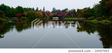 Autumn leaves in the Japanese garden Autumn leaves in the Japanese garden 18487003
