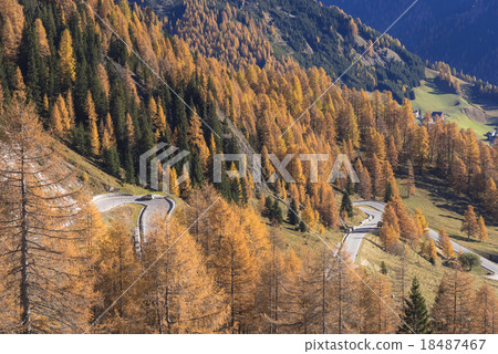 Lyca黃色大麵包美麗的Dolomiti地區 Lyca黃色大麵包美麗的Dolomiti地區 18487467