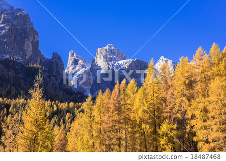 Lyca黃色大麵包美麗的Dolomiti地區 Lyca黃色大麵包美麗的Dolomiti地區 18487468