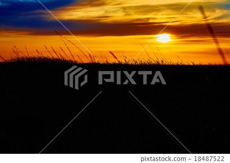 Sunset in the steppe. 18487522