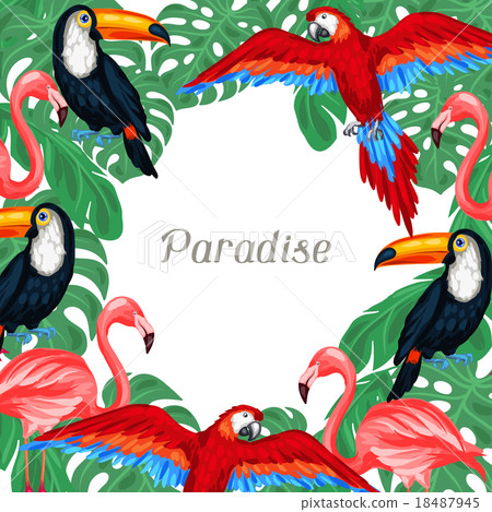Tropical birds background design with palm leaves - Stock Illustration ...