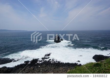 Shonenigei 18488812