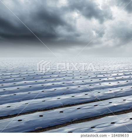 Field agriculture mulching film protect Field agriculture mulching film protect 18489633