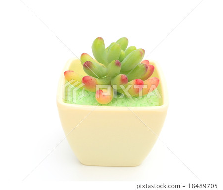 女孩的心 18489705