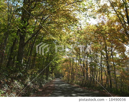 45號公路的458號公路 18490036