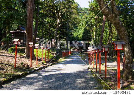 日吉泰莎 日吉泰莎 18490481