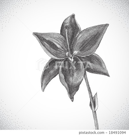 Flower. Black and white Dotwork Flower. Black and white Dotwork 18491094