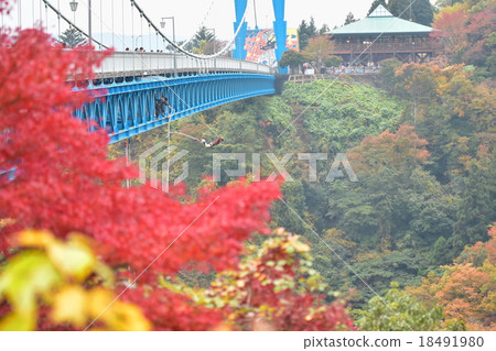 蹦極和秋天的落葉 18491980