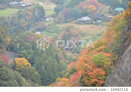 Autumn leaves and private houses 18492518