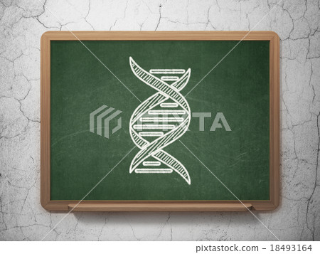 Science concept: DNA on chalkboard background Science concept: DNA on chalkboard background 18493164