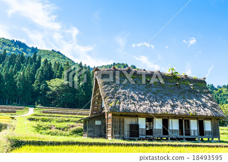 Shirakawago in autumn 18493595