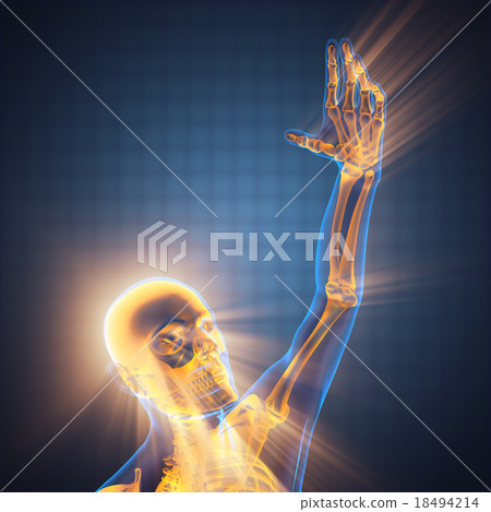 human hand bones radiography human hand bones radiography 18494214