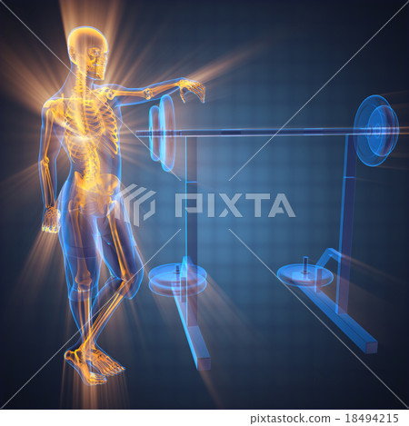 human radiography scan in gym room human radiography scan in gym room 18494215