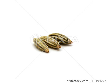 Fennel seeds isolated  18494724