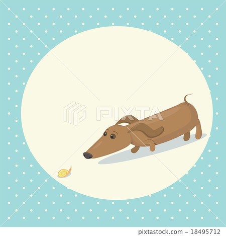 dog dachshund and snail dog dachshund and snail 18495712