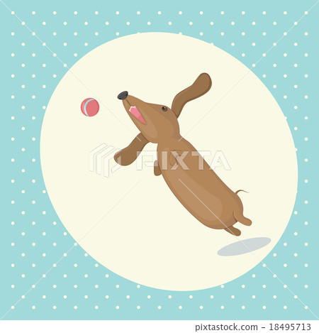 A dog dachshund playing ball 18495713