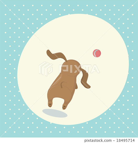 A dog dachshund playing ball 18495714