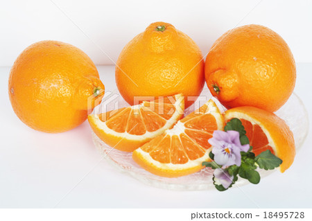 Citrus fruits filled with sweet acid, Deco Pon Citrus fruits filled with sweet acid, Deco Pon 18495728