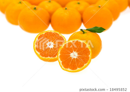 Cut mandarin orange 18495852