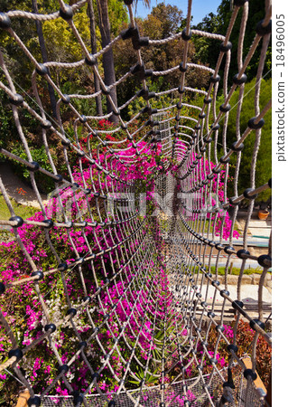 Footpath in jungle - Tenerife Canary islands 18496005