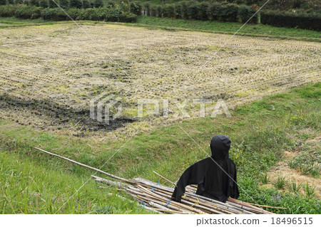 Scarecrow that finished the role 18496515