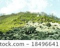 Sesshoseki 18496641