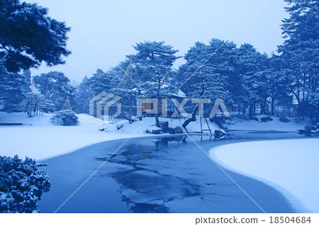 Winter's medicinal cherry 18504684