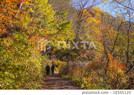 走在秋葉山路的登山人對福井縣剪報池塘 走在秋葉山路的登山人對福井縣剪報池塘 18505120