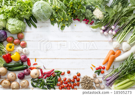 蔬菜集合 18505273