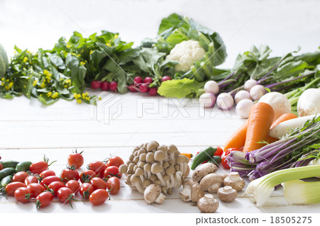 蔬菜集合 18505275