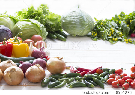 蔬菜集合 18505276