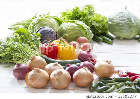 Vegetable collection 18505277