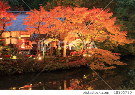 Fall of the temple Fall of the temple 18505750