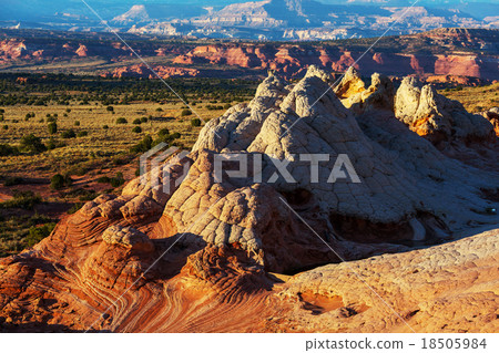 White pocket 18505984