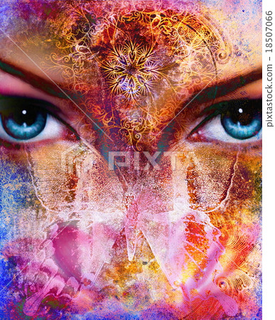 illustration of a butterfly and woman eye , mixed illustration of a butterfly and woman eye , mixed 18507066