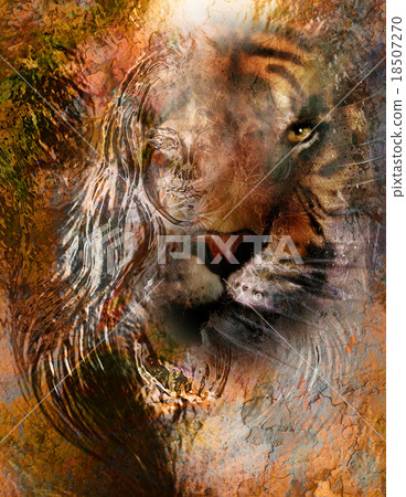 tiger collage  with water woman fairy, on color 18507270