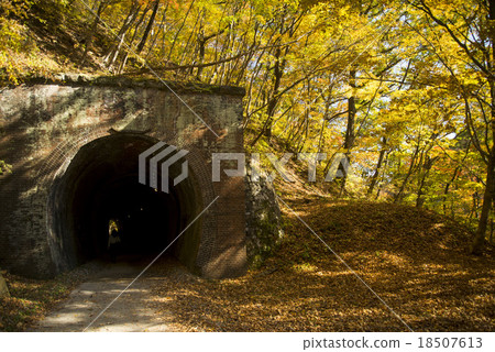 Autumn leaves and tunnels 18507613