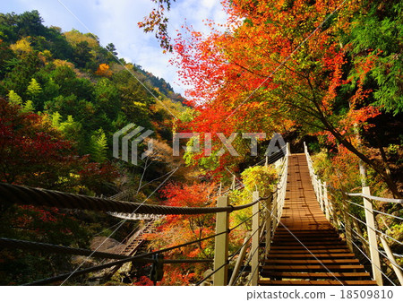 Oyanagawa Valley Ryusenbashi 18509810